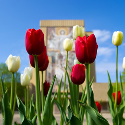 Hesburgh Library in the Spring