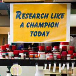 Research Like a Champion Today