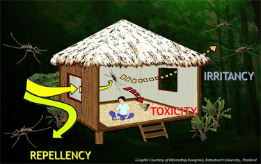 Spatial Repellency. Graphic courtesy of Montathip Kongmee, Katsetsart University, Thailand.