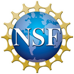 Nsf Logo 250