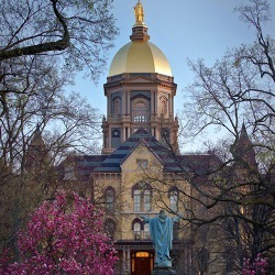 Main Building in the Fall