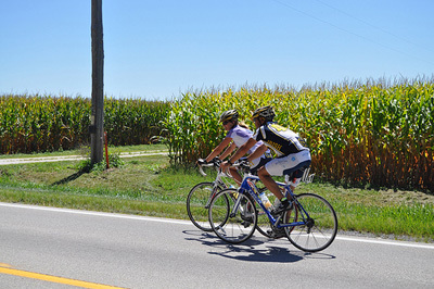 Biking by the corn fields