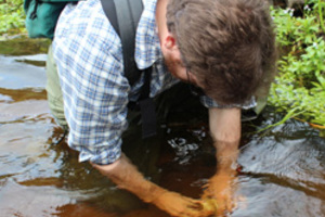 Taking the Brook Trout’s Temperature