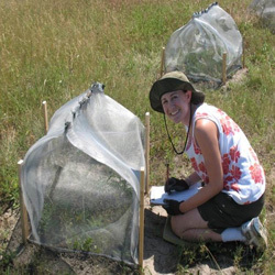 Erica Kistner, biology graduate student, works in the field