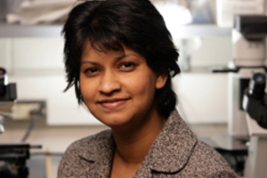 D'Souza-Schorey named chair of the Department of Biological Sciences