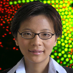 Elaine Zhu
