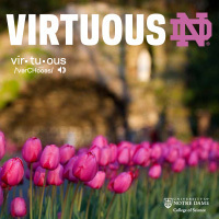 Virtuous ND (cover)