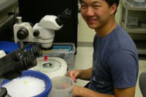 Undergraduate Jonathan Jou receives Harvard stem cell summer fellowship