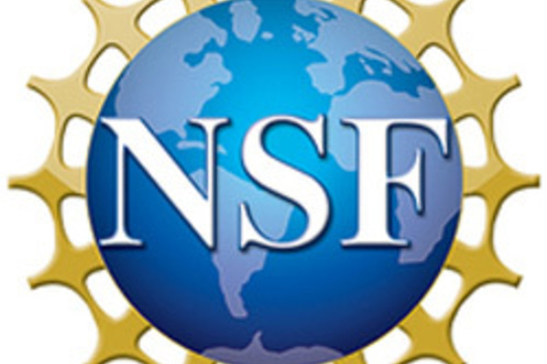 nsf_logo_250.jpg
