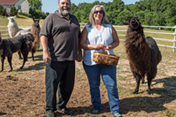 Matt Ravosa and Sharon Stack on their farm with their llamas