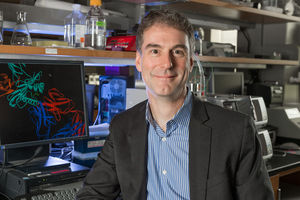 Prof. Brian Baker’s lab receives $4 million NIH grant for precision immunotherapy research
