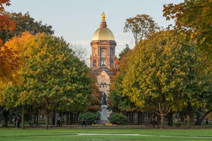 Irish and Notre Dame STEM students encouraged to apply for a Naughton Fellowship