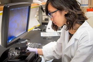 Summer Undergraduate Research Fellowship students thankful for new experiences
