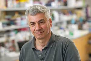 Mobashery lands 2019 Kaiser Award from The Protein Society