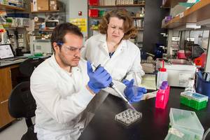 Researchers discover critical process for how breast cancer spreads in bones 