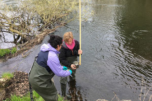 Environmental DNA to be used for monitoring endangered and invasive species in flowing waters