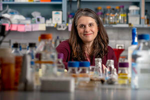Champion appointed new Director of Postdoctoral Studies in the College of Science