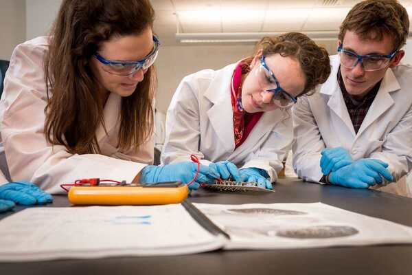 Three neuroscience majors lean in to work together on project