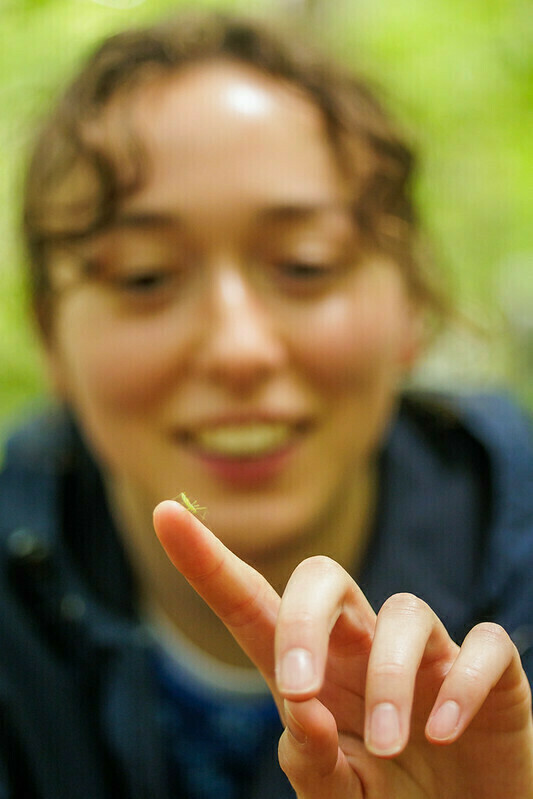 Ecology field trip: assassin bug perched on student's finger