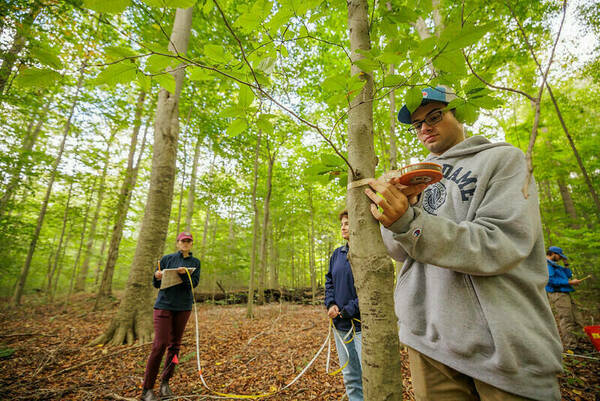 Ecology field trip: tree survey, measure diameter