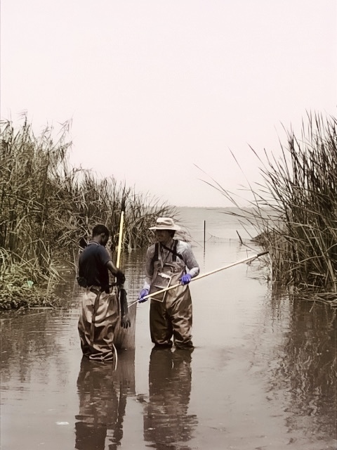 Research in Senegal river