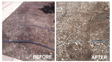 Jordan sprinkler pipes - before and after